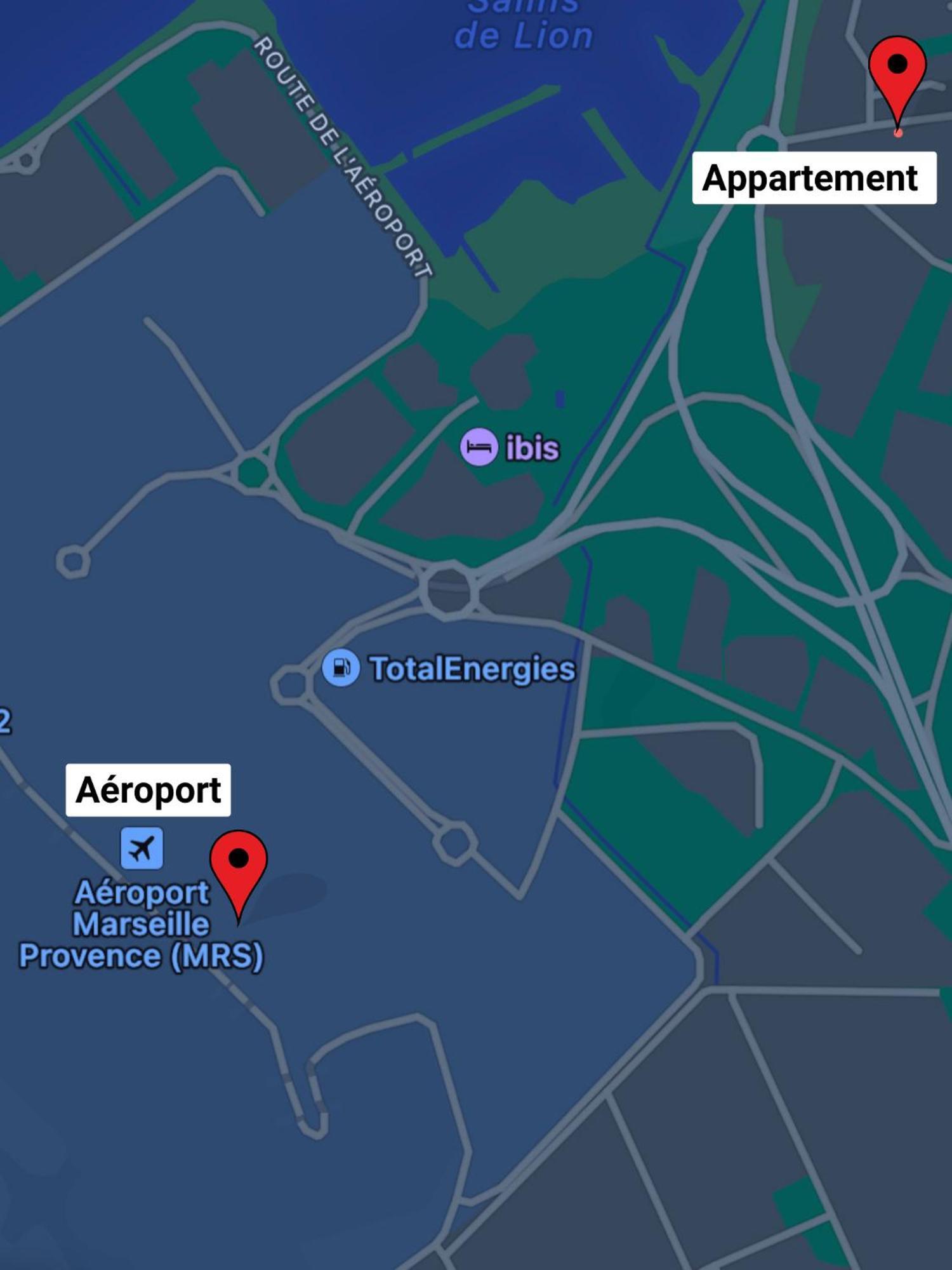 Superbe Appart Avec Jardin A 2 Min De L'Aeroport-4 Pers Витроль Экстерьер фото